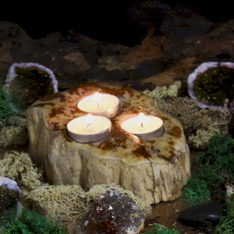 Petrified Wood Candle Holders